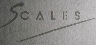 DR-Scales