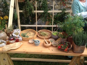 Les divers outils et plantes présentés lors de l'atelier d'herboristerie