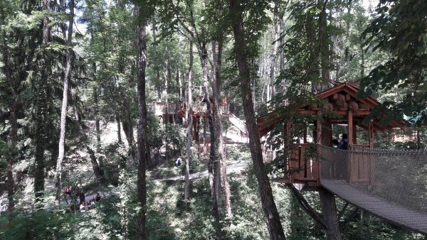 Le Labyrinthe dans les arbes