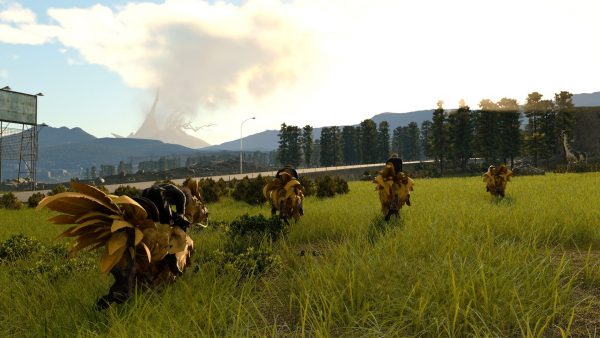 Final Fantsy XV - chocobos