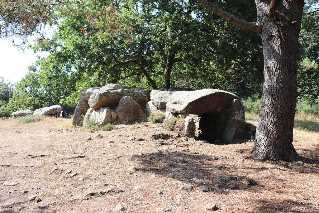 Mégalithes de Mané Braz 4