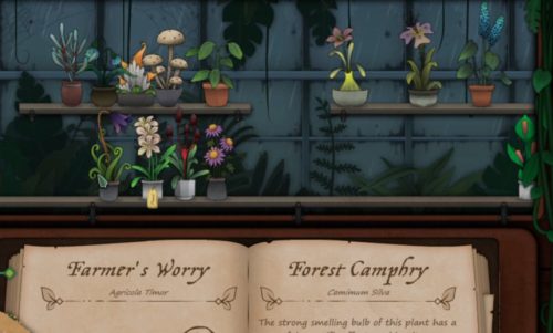 Détail de la boutique de Strange horticulture