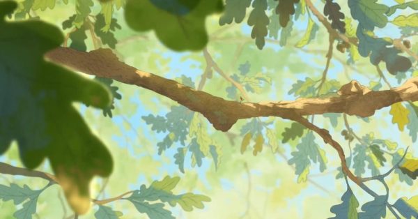 Une branche du Chêne - Tobie Lolness